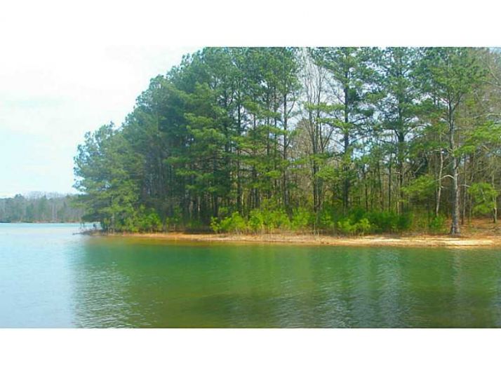 0 T W Henderson Road, Cumming, GA 30041