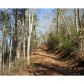 0 Pine Drive, Dahlonega, GA 30533 ID:2645383