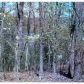 00 CR 1520, Eureka Springs, AR 72632 ID:1163187