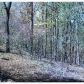 00 CR 1520, Eureka Springs, AR 72632 ID:1163188