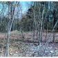 00 CR 1520, Eureka Springs, AR 72632 ID:1163192