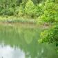 497 Wildoak Lane, Mountain Home, AR 72653 ID:1164088