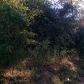 437 Meriwether Street, Grantville, GA 30220 ID:3295674
