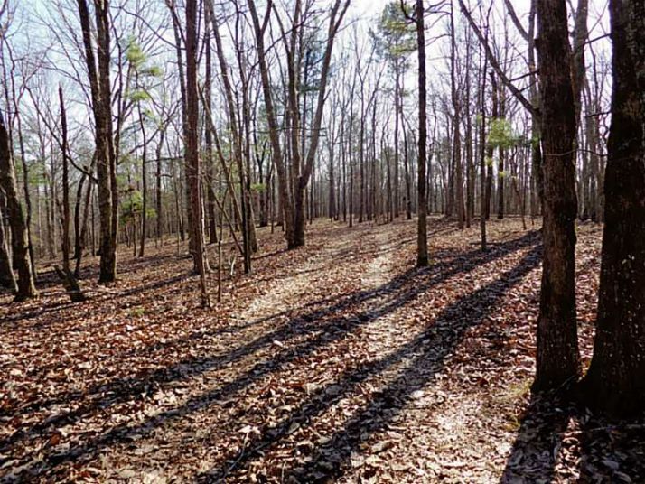 1 Macedonia Road, White, GA 30184
