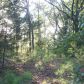 CR 240, Eureka Springs, AR 72632 ID:1163216