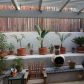 123 N Tustin Ave C, Anaheim, CA 92807 ID:1150732