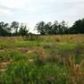 3 +/- ACRES N. US HIGHWAY 231, Ozark, AL 36360 ID:2114317