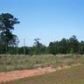 3 +/- ACRES N. US HIGHWAY 231, Ozark, AL 36360 ID:2114319