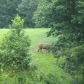 3535 Gravitt Road, Cumming, GA 30040 ID:2615313