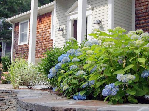 54 Scraggy Neck Rd, Cataumet, MA 02534