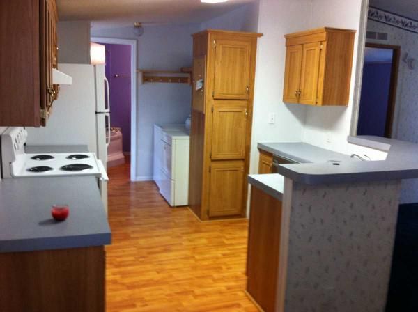 14526 Winter Drive, Tampa, FL 33613