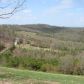 Lots 1-12 CR 309, Eureka Springs, AR 72632 ID:1162831