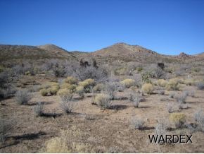 0000 Silver Springs, Kingman, AZ 86401