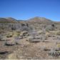 0000 Silver Springs, Kingman, AZ 86401 ID:1436353