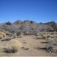 0000 Silver Springs, Kingman, AZ 86401 ID:1436355