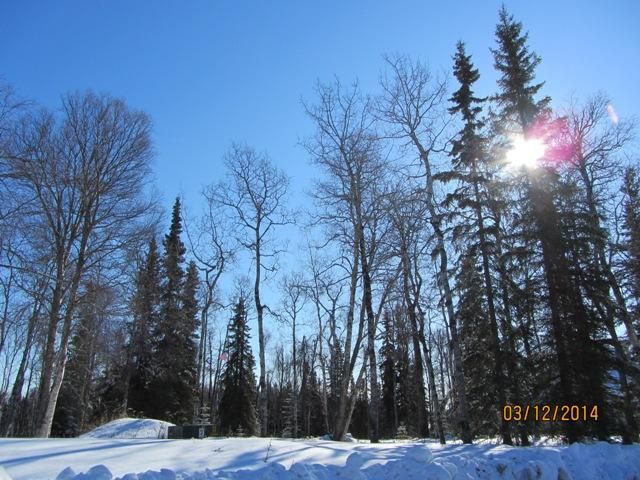 38204 Tower Park Court, Soldotna, AK 99669