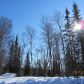 38204 Tower Park Court, Soldotna, AK 99669 ID:1081623