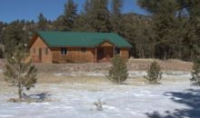 141 Cabin Lane Guffey, CO 80820