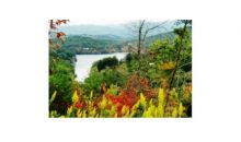 14 Golden Eagle Circle Turtletown, TN 37391