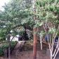 932 Highland View Ne, Atlanta, GA 30306 ID:1419776