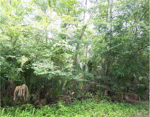 Shady Palm (Lot 143c) Cv, Oviedo, FL 32765