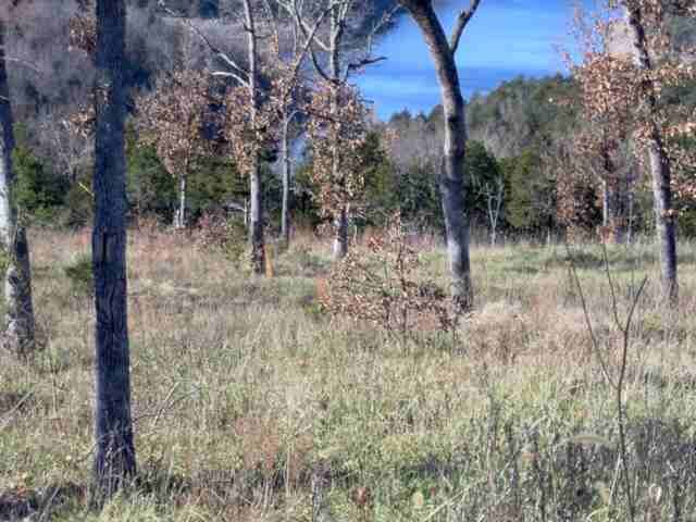 00 Mc 2061, Yellville, AR 72687