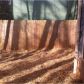4043 Big Valley Trail, Stone Mountain, GA 30083 ID:6123730