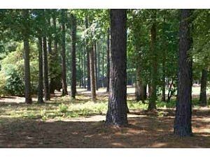 Highgate Dr- Lot 31, Greensboro, GA 30642