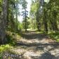 6962 S Big Lake Road, Big Lake, AK 99652 ID:5512147