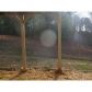 2211 Smallwood Springs Drive, Gainesville, GA 30507 ID:5760153