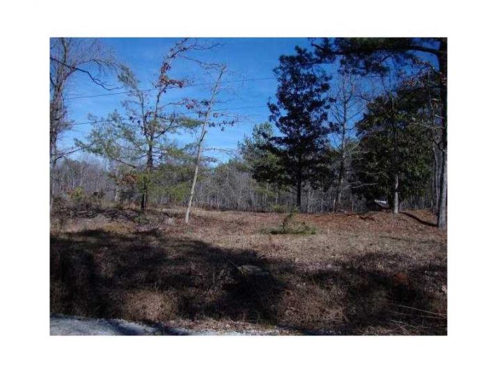1196 Autry Circle, Douglasville, GA 30134