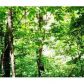 00 Russ Road, Norfork, AR 72658 ID:1160835