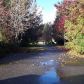 340 Fox Hill Ln, Fortuna, CA 95540 ID:83372
