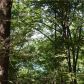Lot 7 CR 1562, Eureka Springs, AR 72632 ID:1163182