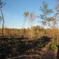 River Road 56.5 acres, Valley, AL 36854 ID:1535832
