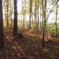 River Road 56.5 acres, Valley, AL 36854 ID:1535835