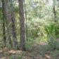 171 Oak Run Rd, Crescent City, FL 32112 ID:1143138