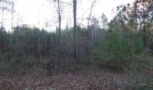 0 Mangham Road Bremen, GA 30110