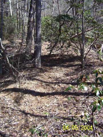42 Comfort Lane, Dahlonega, GA 30533
