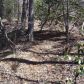 42 Comfort Lane, Dahlonega, GA 30533 ID:2894684