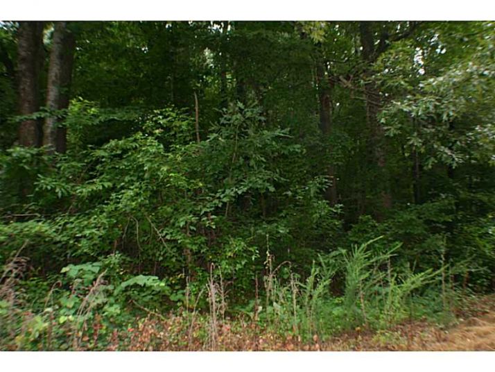0 Richmond Road, Woodstock, GA 30189