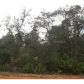 MCCORD RD, Lake Wales, FL 33898 ID:1036395