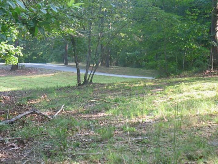 3105 Pruitt Lane, Cumming, GA 30041