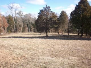 Lot #4, Rock Wall Heights, Clarksville, AR 72830