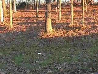 LOT#38 NORTHPARK 1, Eddyville, KY 42038