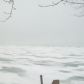 7496 Lakeshore Dr, Newport, MI 48166 ID:35021