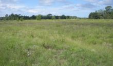 LOT 15 SE 143 CT Morriston, FL 32668