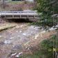 745 Little Creek Rd, Burnsville, NC 28714 ID:244902