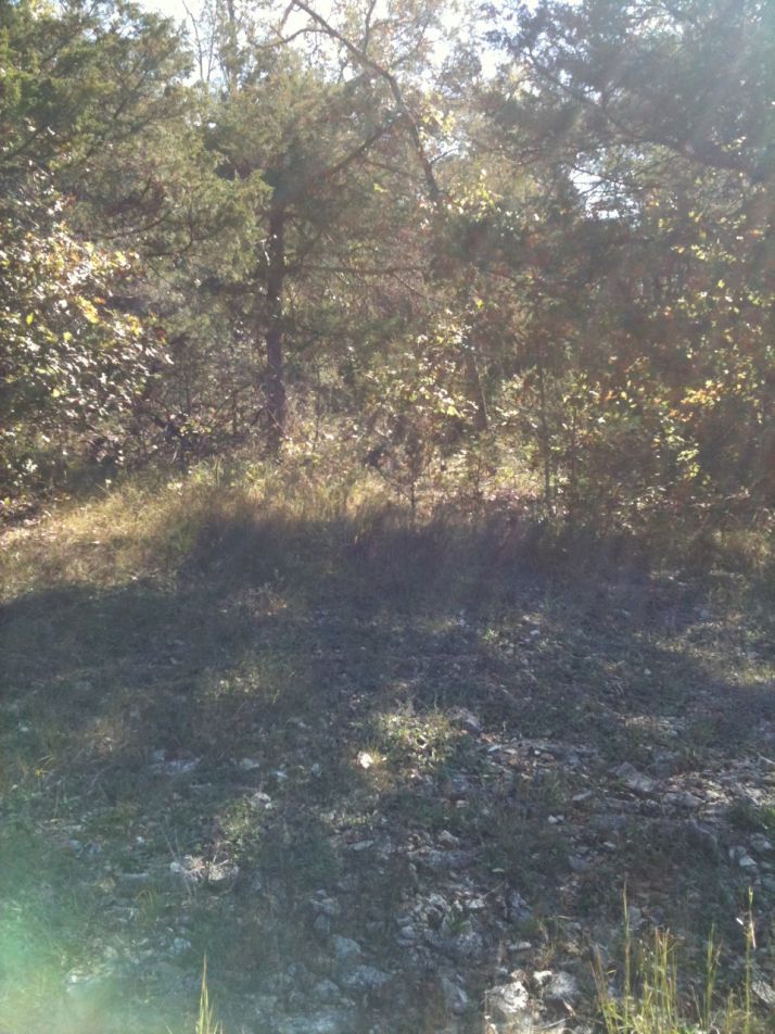 00 Valley Dr, Eureka Springs, AR 72631