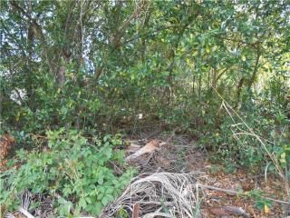 409 Cloverleaf Blvd, Deltona, FL 32725